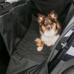 پانل جانبی تریکسی آلمان TRIXIE Animal Car Cover